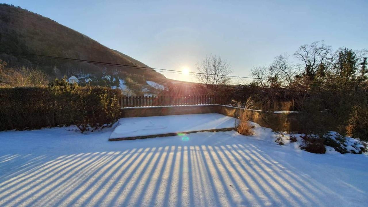 Vila Garden View Drienica Exteriér fotografie